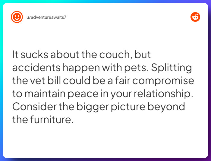 Comment from u/adventureawaits7