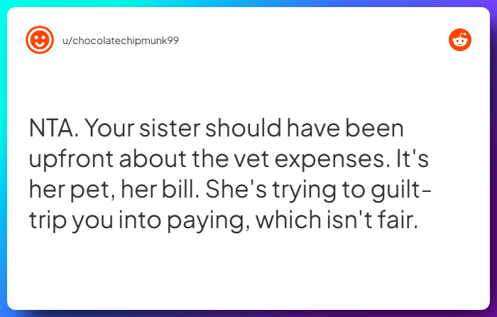 Comment from u/chocolatechipmunk99