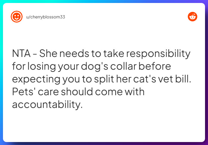 Comment from u/cherryblossom33
