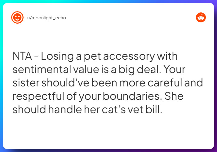 Comment from u/moonlight_echo