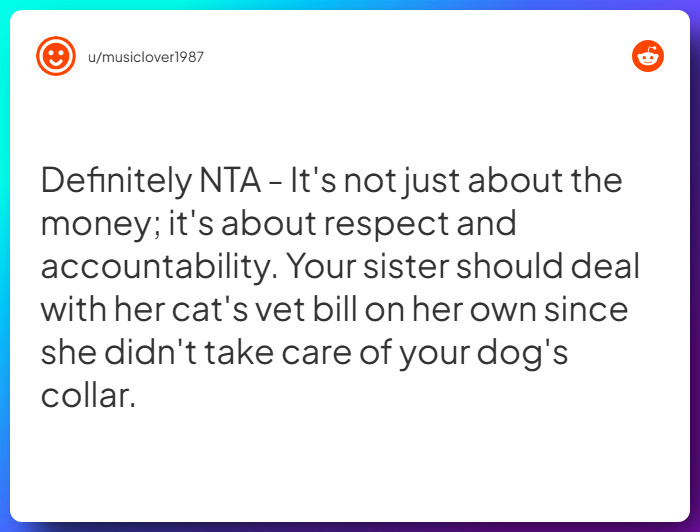 Comment from u/musiclover1987