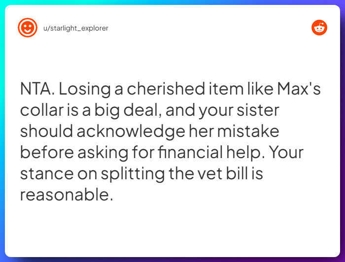 Comment from u/starlight_explorer