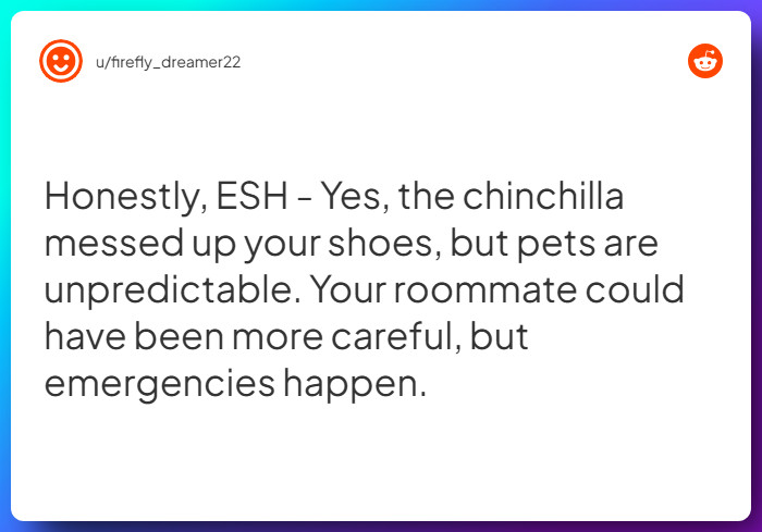Comment from u/firefly_dreamer22