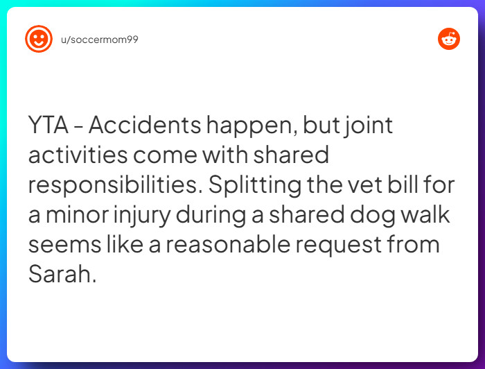 Comment from u/soccermom99