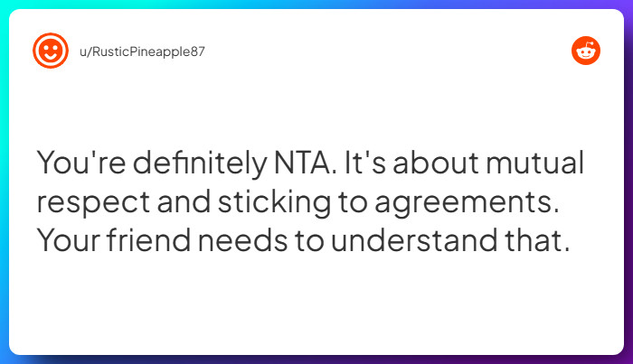 Comment from u/RusticPineapple87