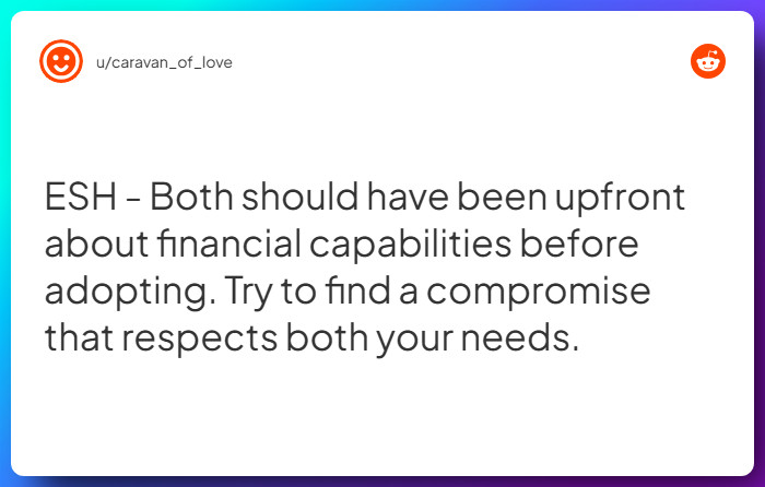 Comment from u/caravan_of_love