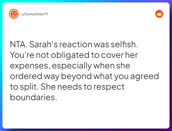 Comment from u/SunnySkies79