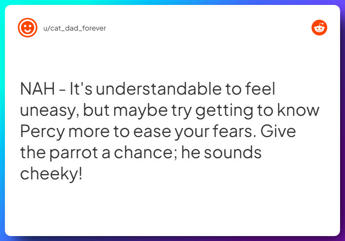Comment from u/cat_dad_forever