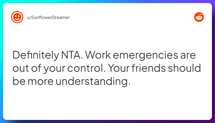 Comment from u/SunflowerDreamer