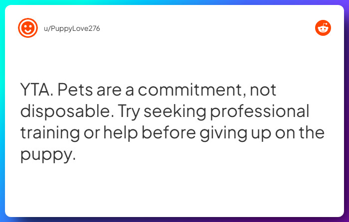 Comment from u/PuppyLove276