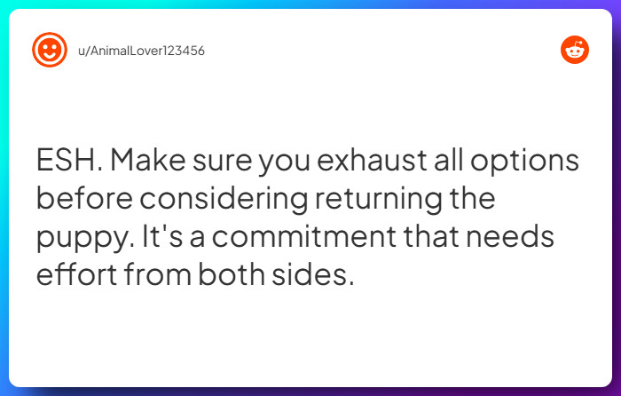 Comment from u/AnimalLover123456