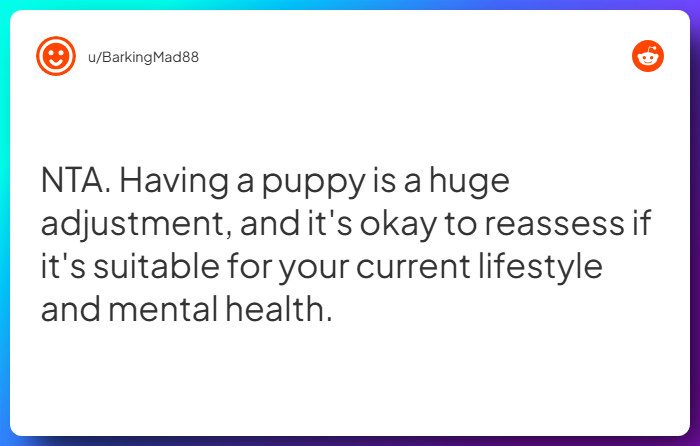 Comment from u/BarkingMad88
