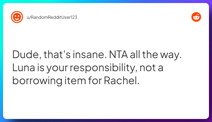 Comment from u/RandomRedditUser123