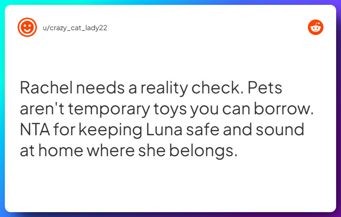 Comment from u/crazy_cat_lady22