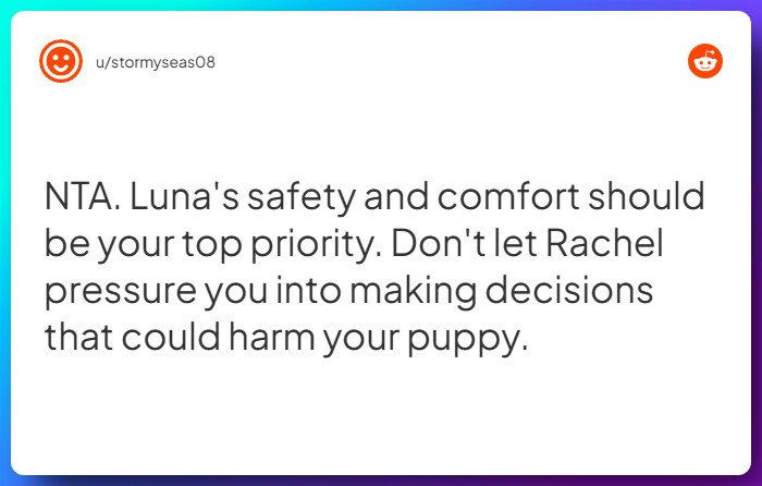 Comment from u/stormyseas08