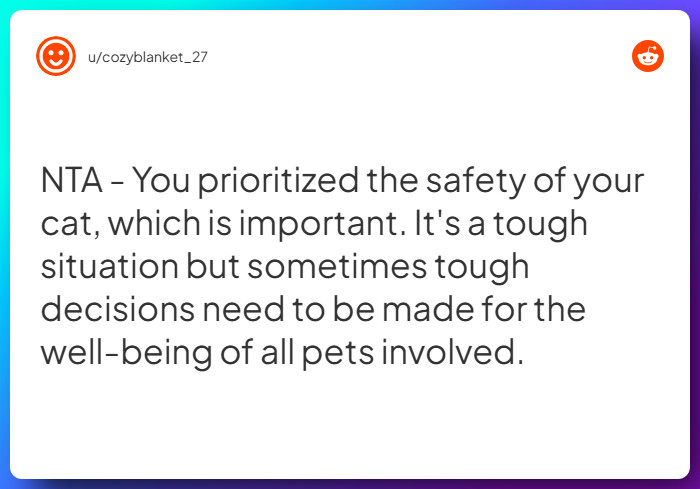 Comment from u/cozyblanket_27
