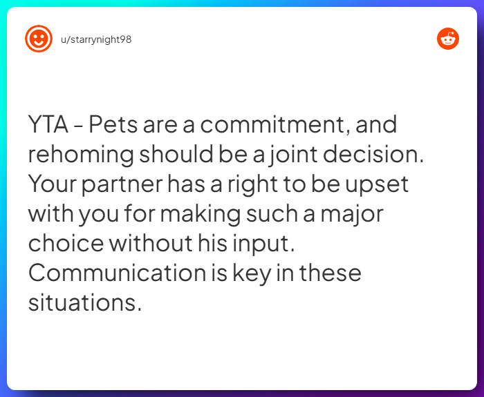 Comment from u/starrynight98
