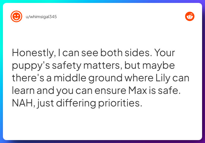 Comment from u/whimsigal345