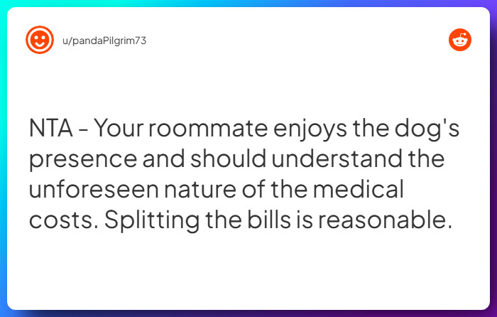 Comment from u/pandaPilgrim73