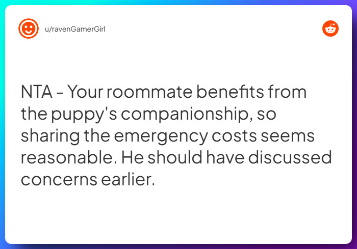 Comment from u/ravenGamerGirl