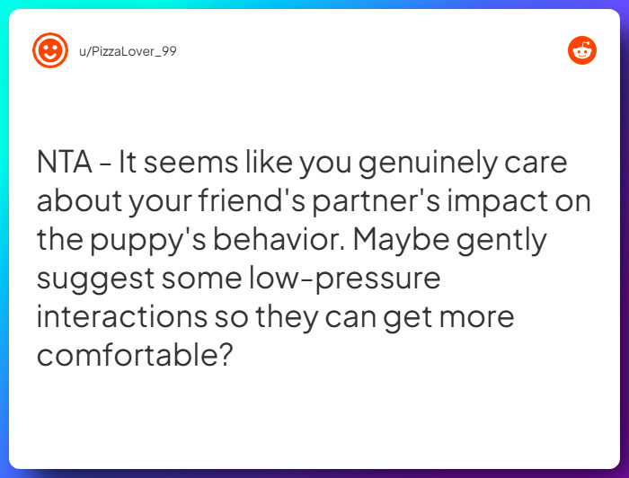 Comment from u/PizzaLover_99