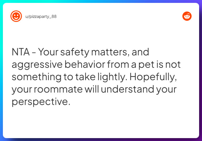 Comment from u/pizzaparty_88