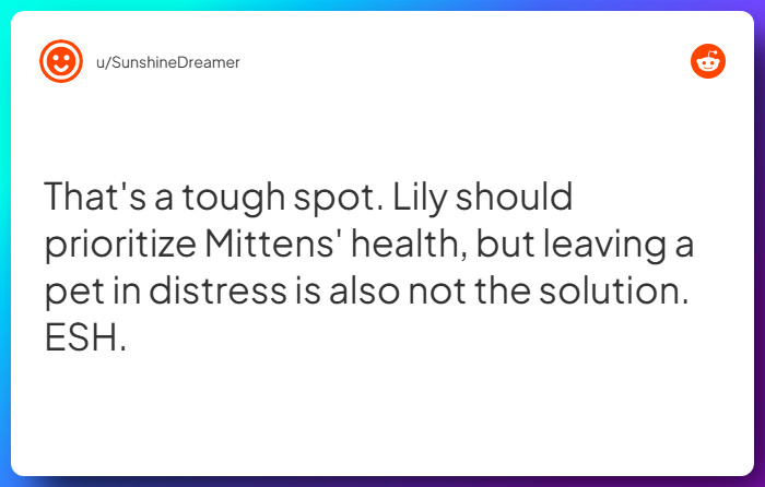Comment from u/SunshineDreamer