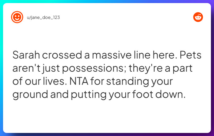 Comment from u/jane_doe_123