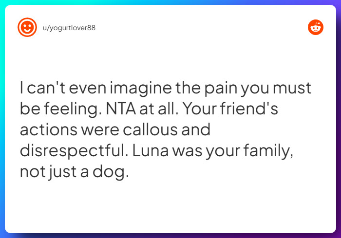 Comment from u/yogurtlover88