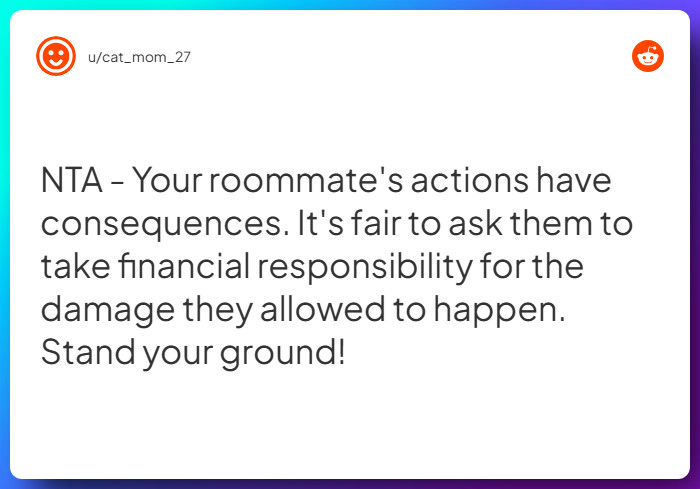 Comment from u/cat_mom_27