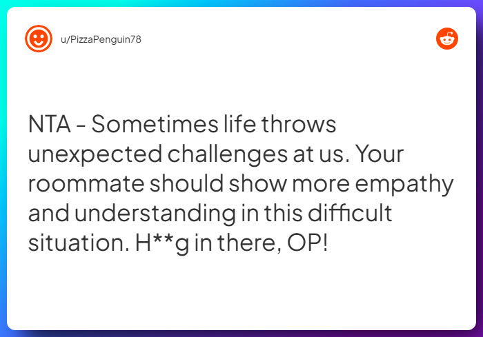 Comment from u/PizzaPenguin78