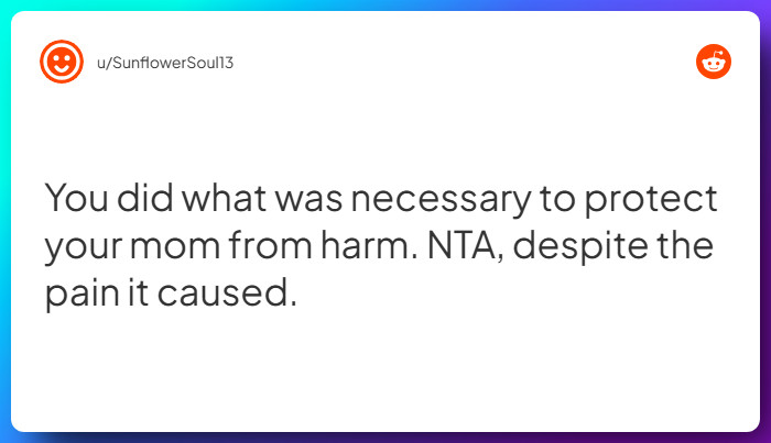 Comment from u/SunflowerSoul13