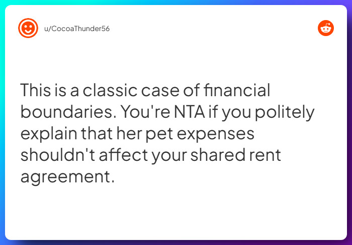 Comment from u/CocoaThunder56