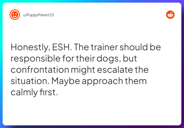 Comment from u/PuppyParent33