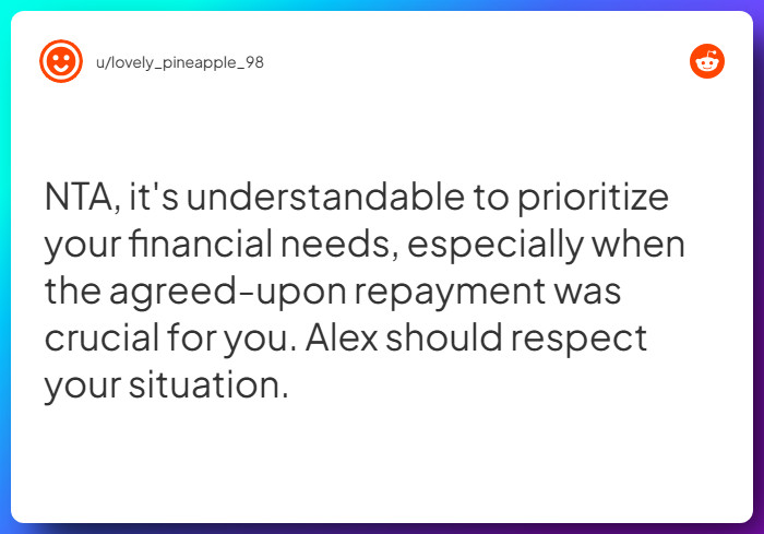 Comment from u/lovely_pineapple_98