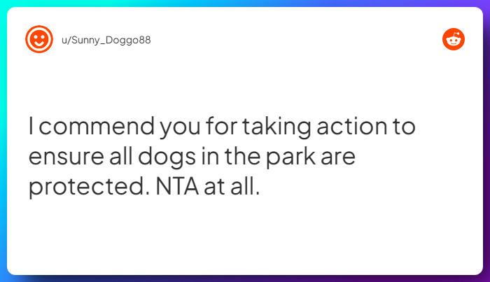 Comment from u/Sunny_Doggo88