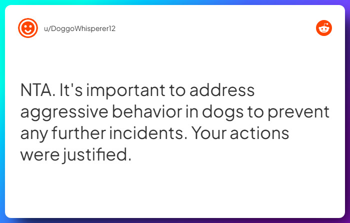 Comment from u/DoggoWhisperer12