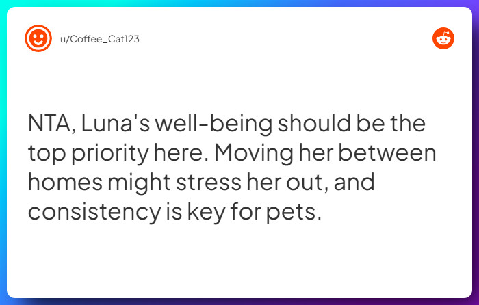 Comment from u/Coffee_Cat123