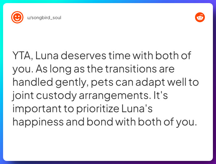 Comment from u/songbird_soul