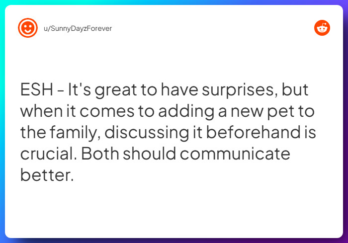 Comment from u/SunnyDayzForever