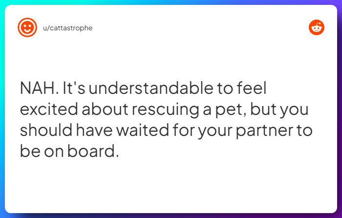 Comment from u/cattastrophe