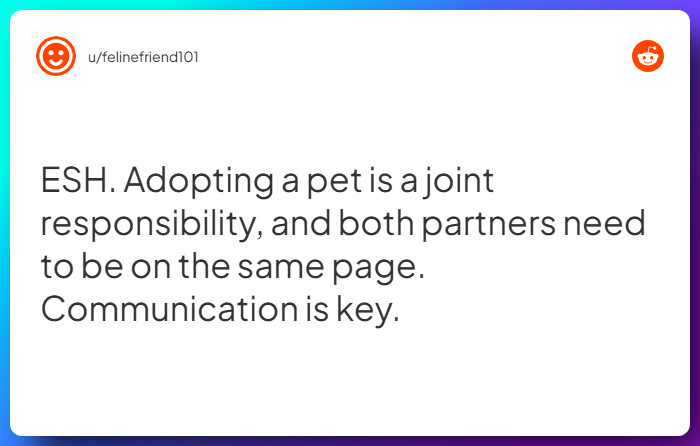 Comment from u/felinefriend101