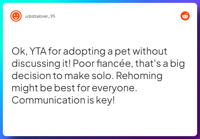 Comment from u/pizzalover_95