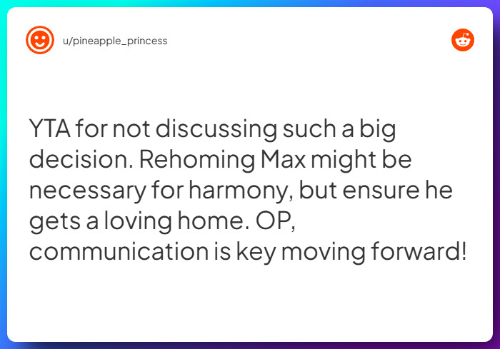 Comment from u/pineapple_princess