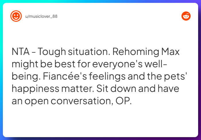 Comment from u/musiclover_88