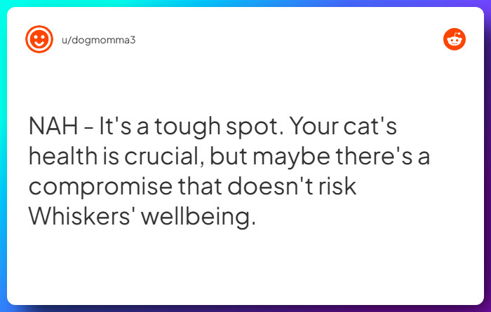 Comment from u/dogmomma3
