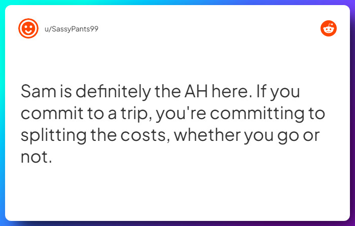 Comment from u/SassyPants99