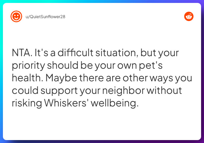 Comment from u/QuietSunflower28