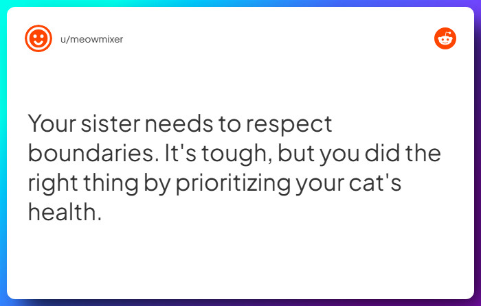 Comment from u/meowmixer