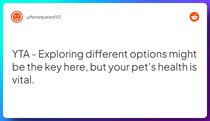 Comment from u/ferretparent101